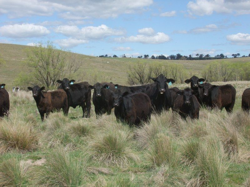 Bathurst, NSW Rural Rural Mixed Farming Property Sold