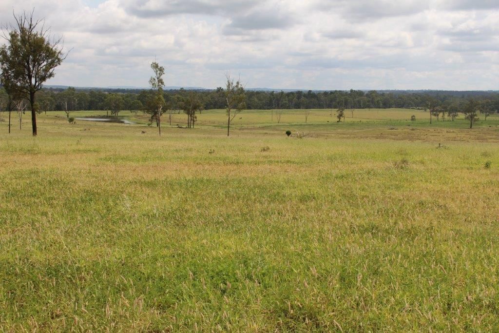 Eidsvold, QLD Rural Rural Livestock Property Sold