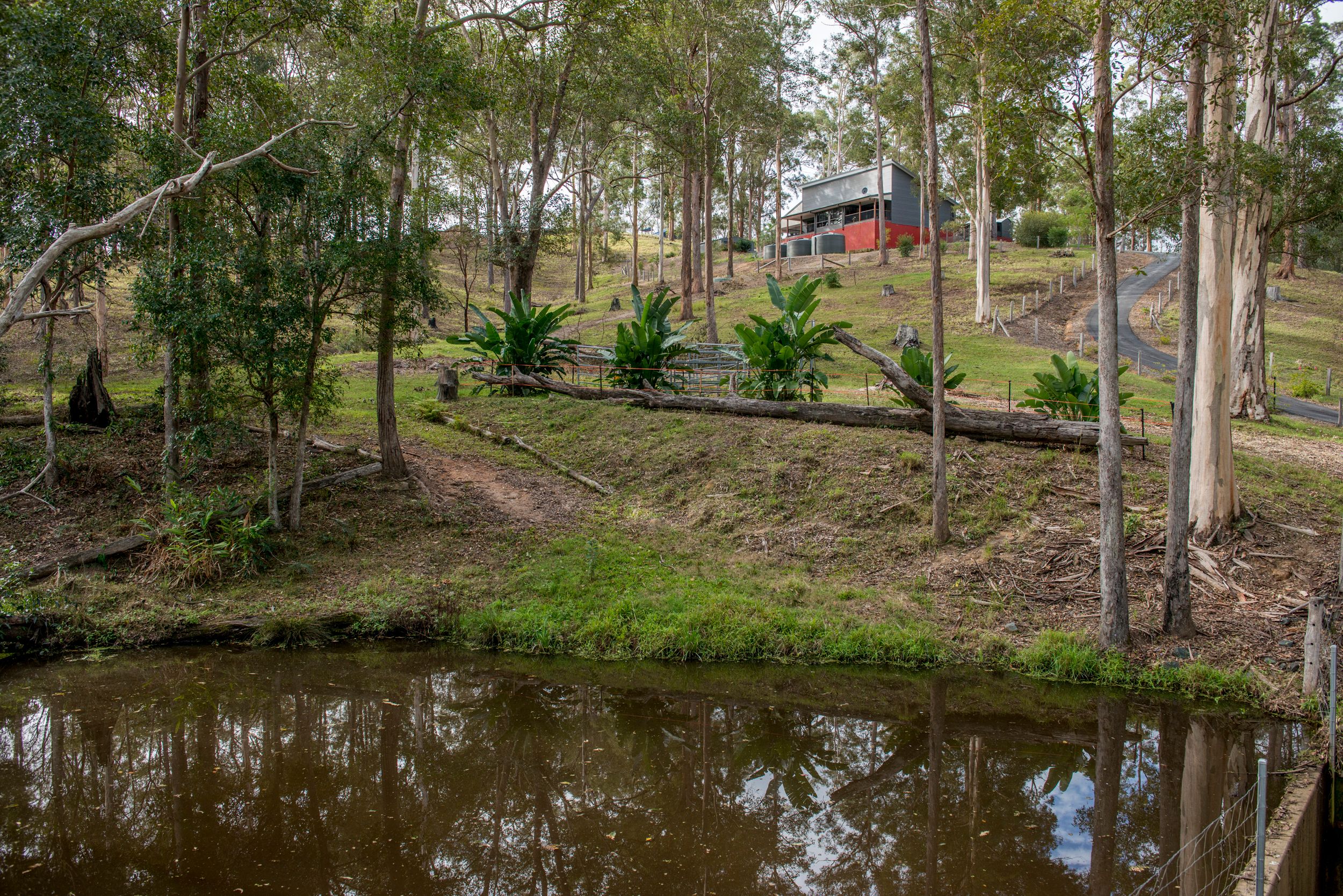 14 Riverview Court, Dayboro, QLD Residential Acreage/SemiRural Sold