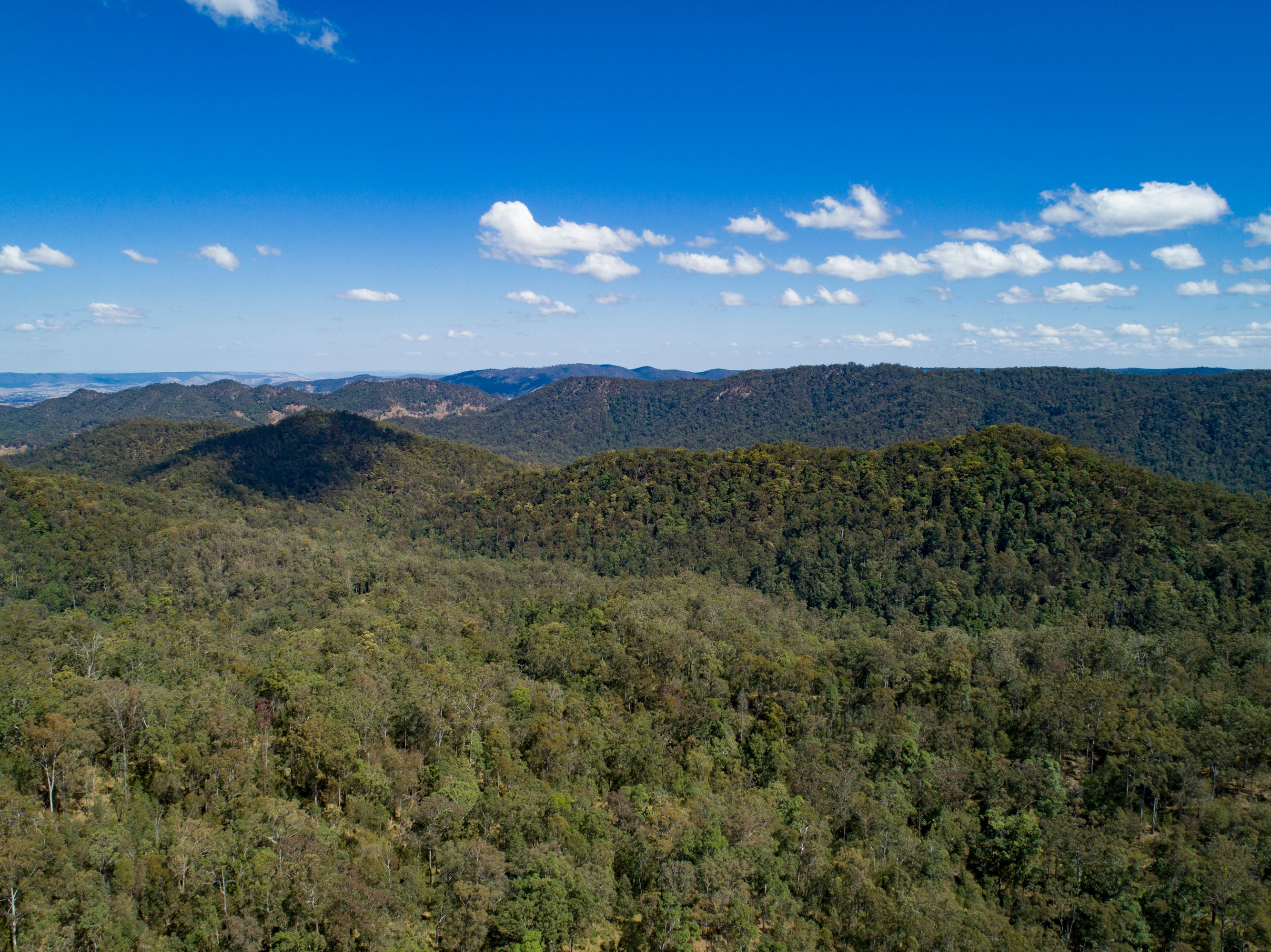 Sandy Creek, QLD Rural Rural Sold