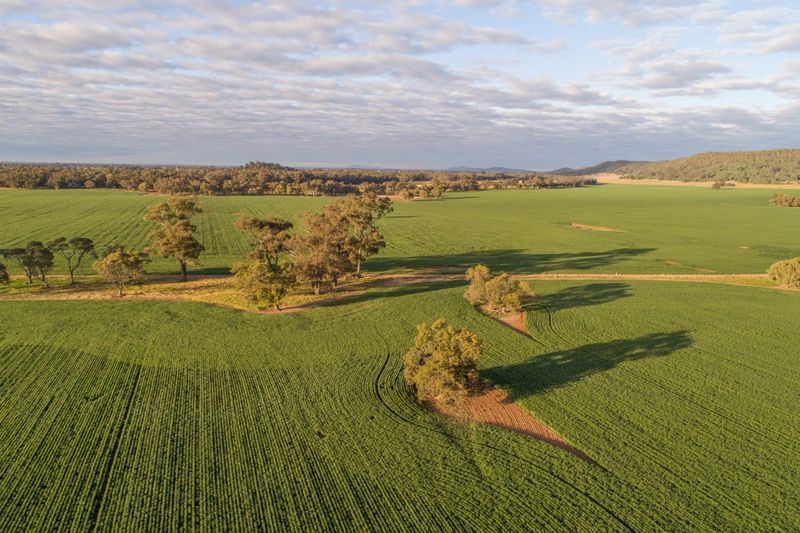 Forbes, NSW Rural Rural Mixed Farming Property Sold