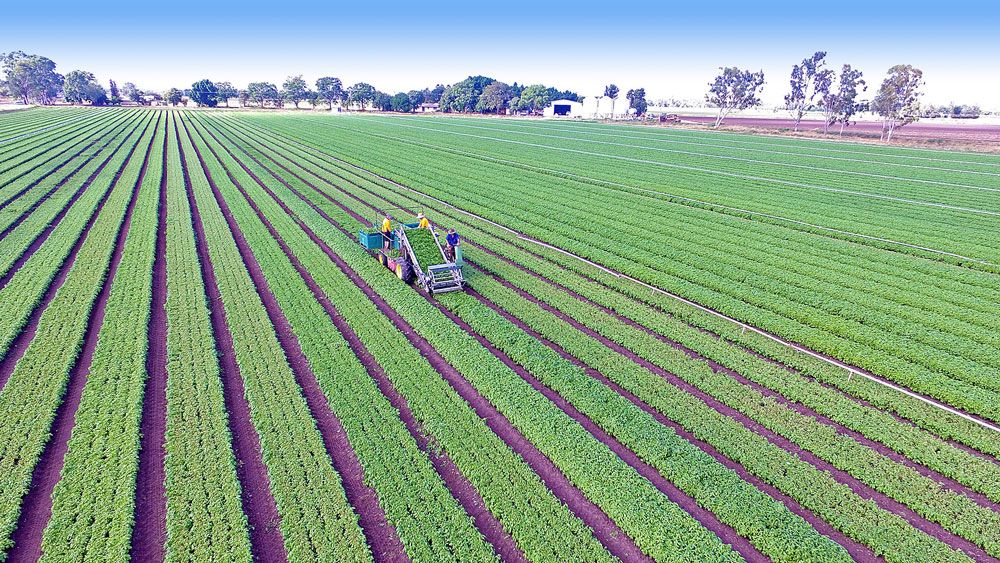 Biloela, QLD Rural Rural Mixed Farming Property Sold