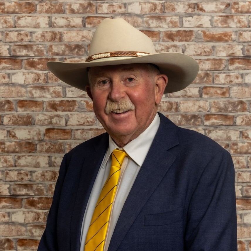 Simon Southwell