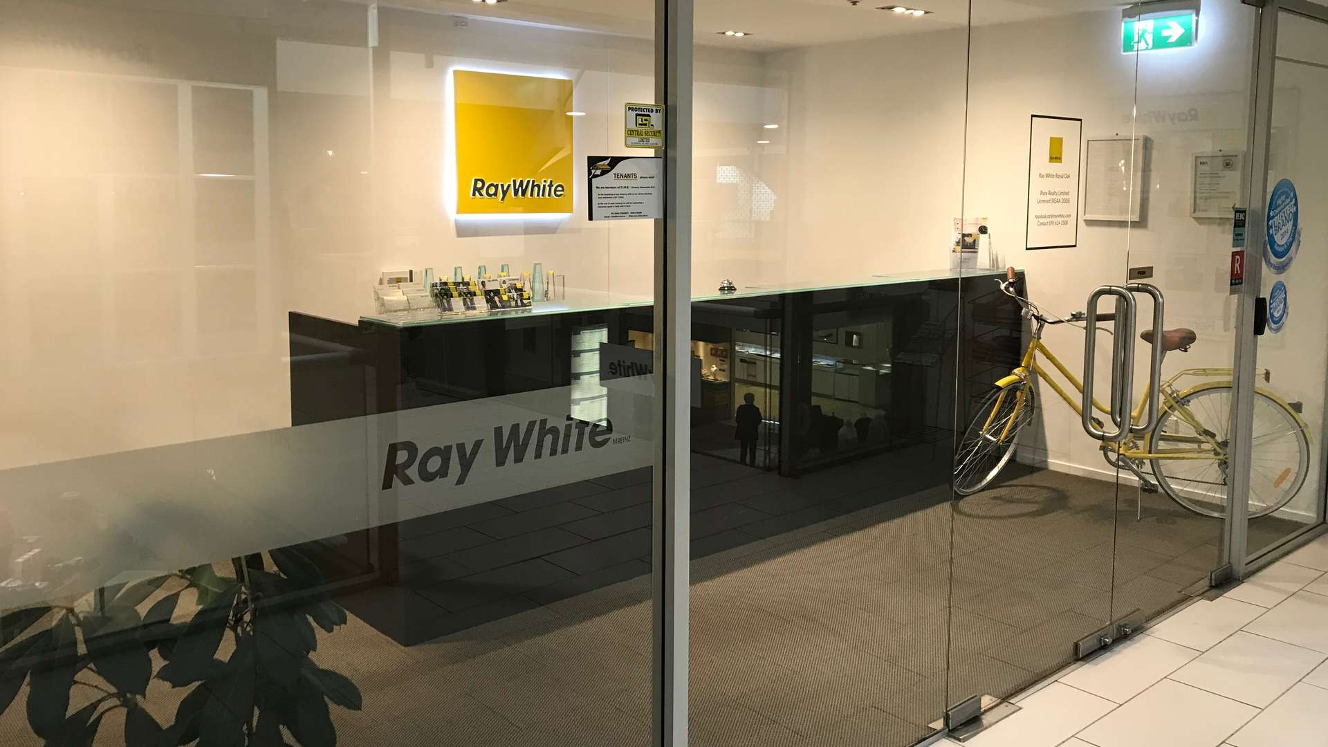 Ray White Royal Oak Office Real Estate Ray White New Zealand