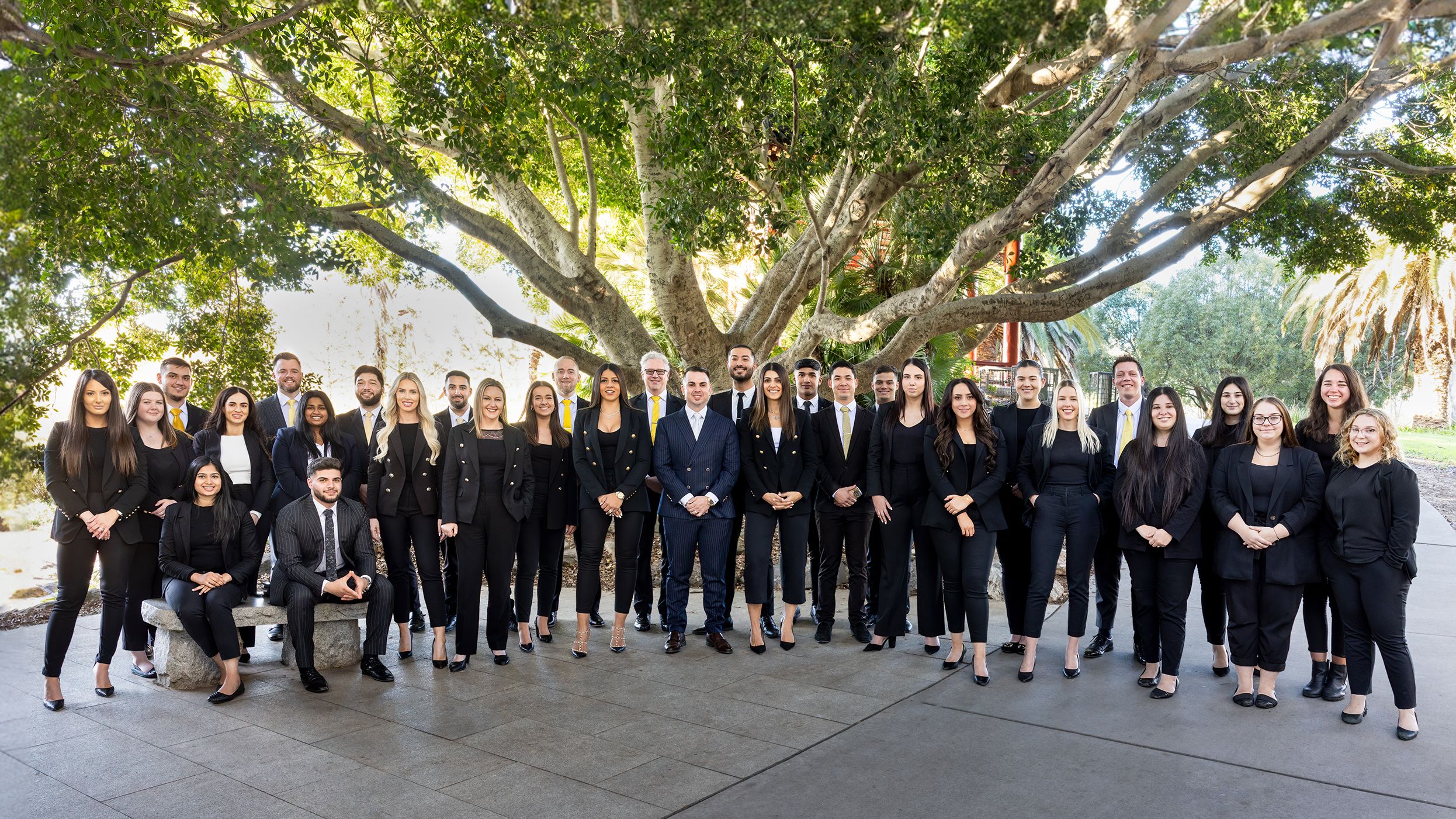 About Us St Marys, St Clair & Rooty Hill Ray White DG