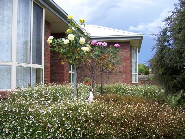 7 Cormorant Court, Mount Barker, SA 5251