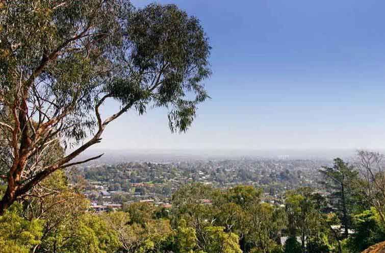 38 Walbundry Avenue, Ferntree Gully, VIC 3156