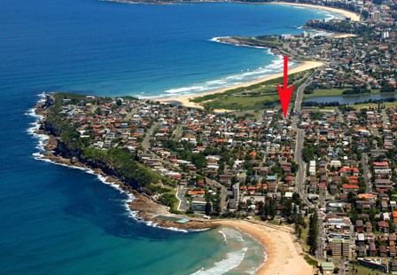 51 Griffin Road, NORTH CURL CURL NSW 2099