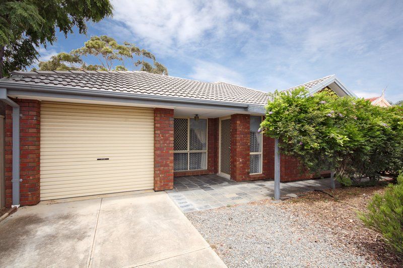 6 Burnley Grove, MITCHELL PARK SA 5043