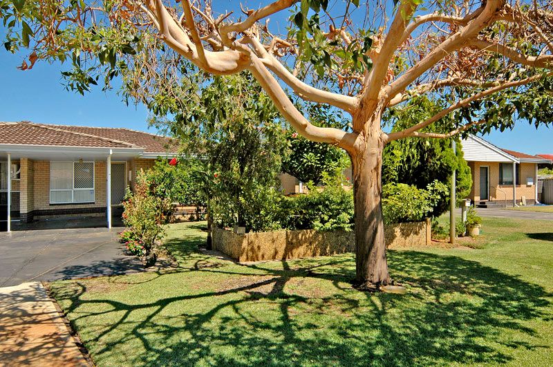 15B  Paringa Street, MORLEY WA 6062