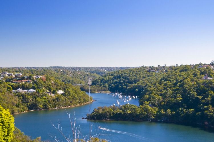 135 Neerim Road, CASTLE COVE NSW 2069