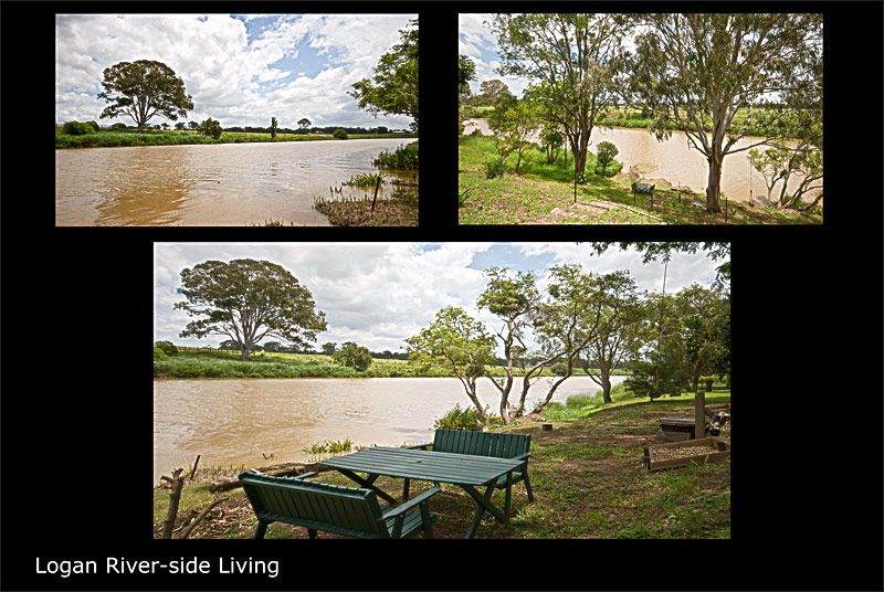 6  Galena Court, BETHANIA QLD 4205