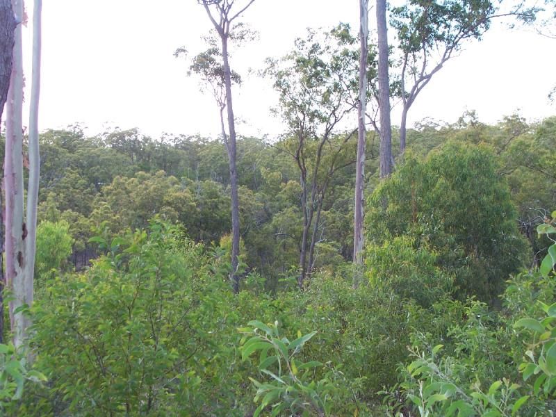 861 Duckpond Road, MOOLBOOLAMAN QLD 4671