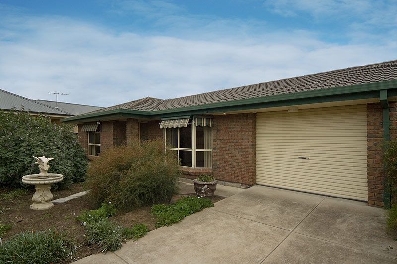 51A Clifton Street, CAMDEN PARK SA 5038