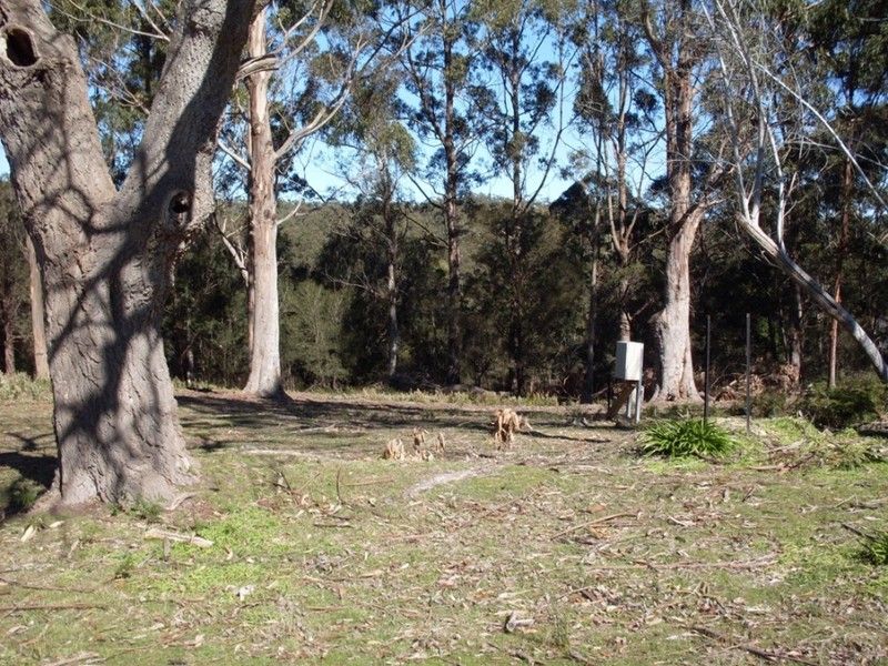 3 Richards Street, LEFROY TAS 7252