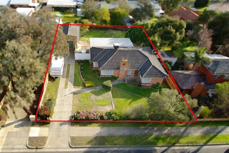 25 Williams Road, BRIAR HILL VIC 3088