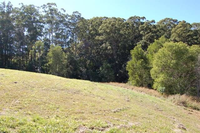 14 Naturalist Place, DOONAN QLD 4562