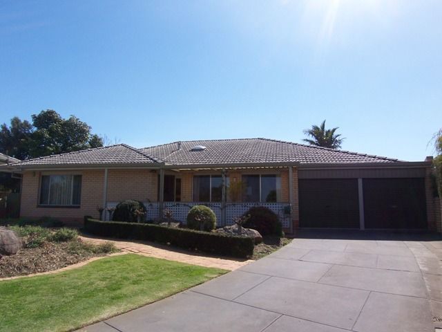 8 Knight Avenue, WINDSOR GARDENS SA 5087