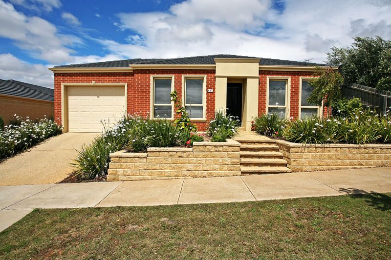 17 Pethajohn Parade, GROVEDALE VIC 3216