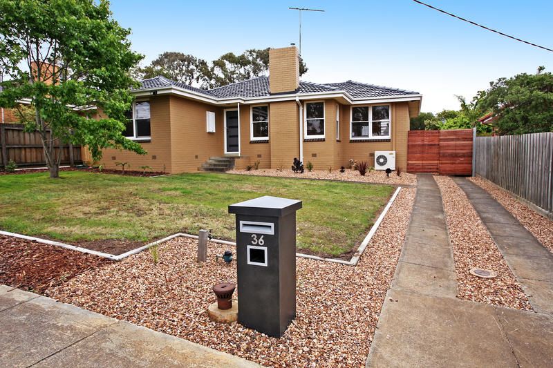 36 Cuthbert Avenue, HIGHTON VIC 3216