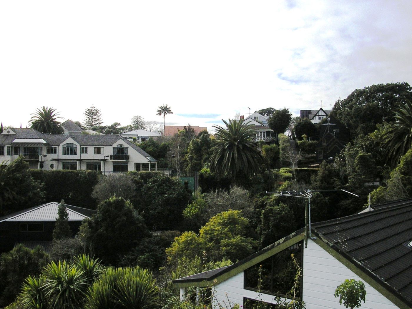 19 Wiles Avenue, Remuera, Auckland City