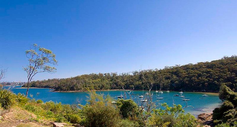 20 Iluka Road, MOSMAN NSW 2088