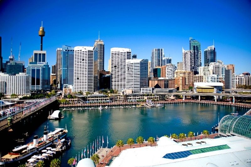 50 Murray Street, PYRMONT NSW 2009