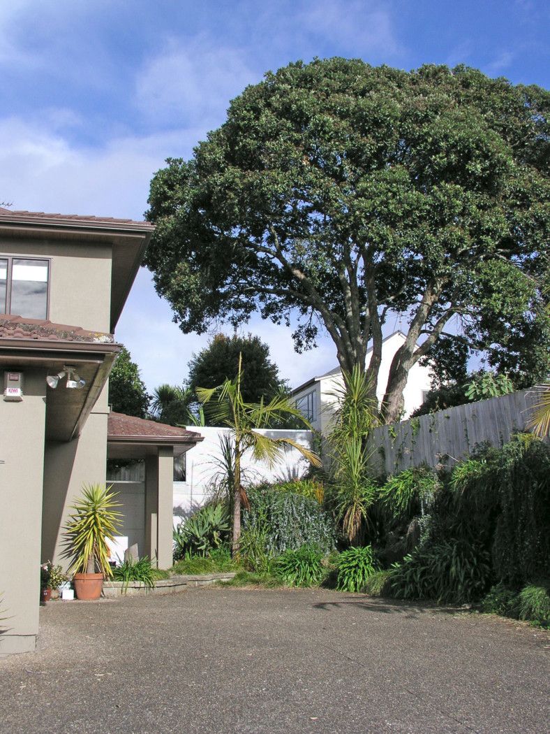 12a Moata Road, One Tree Hill, Auckland City
