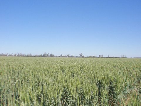 0 Pittsworth-Tummaville Road, PITTSWORTH QLD 4356