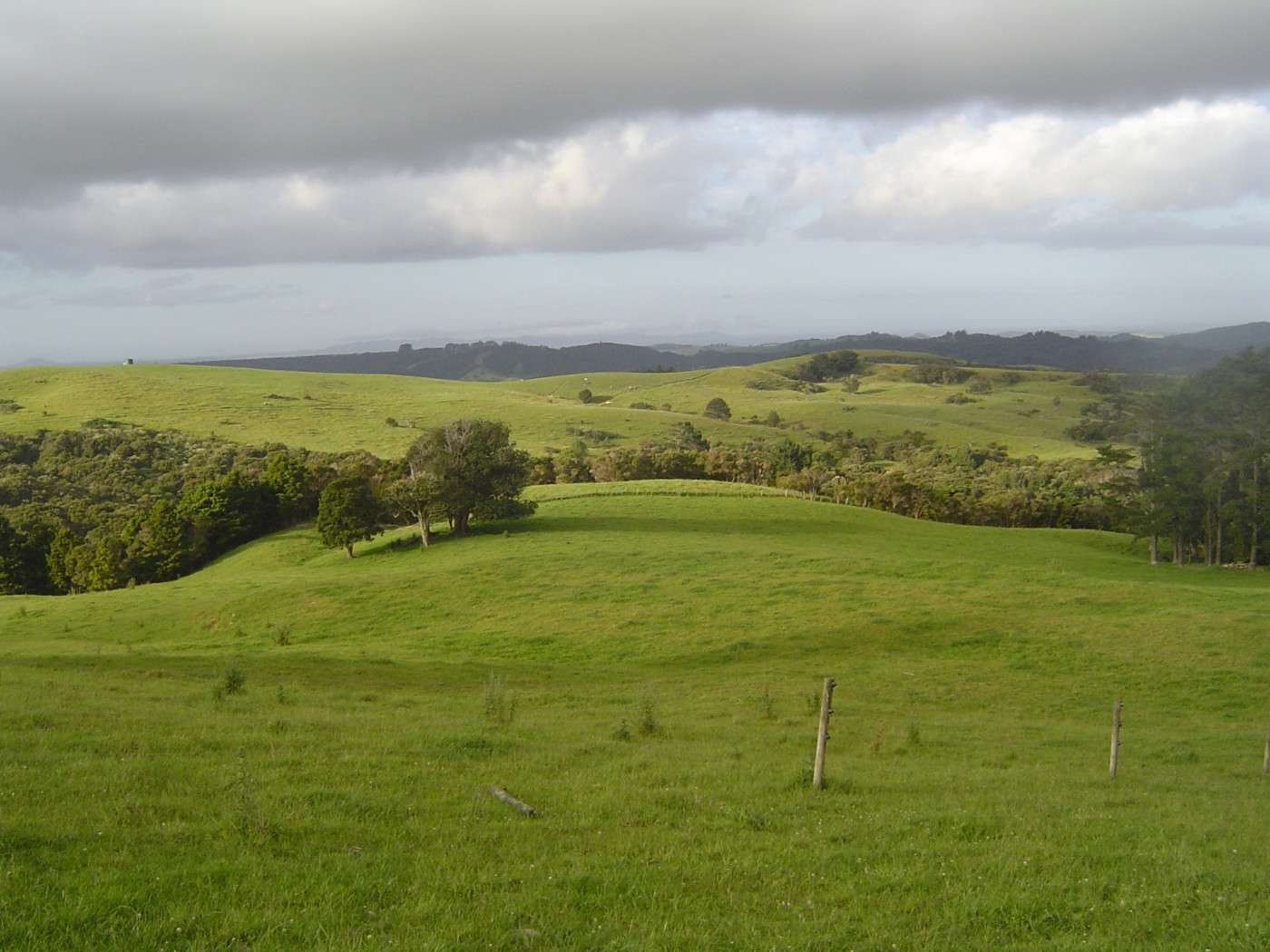 KAITAIA  Far North District  0410 photo 0