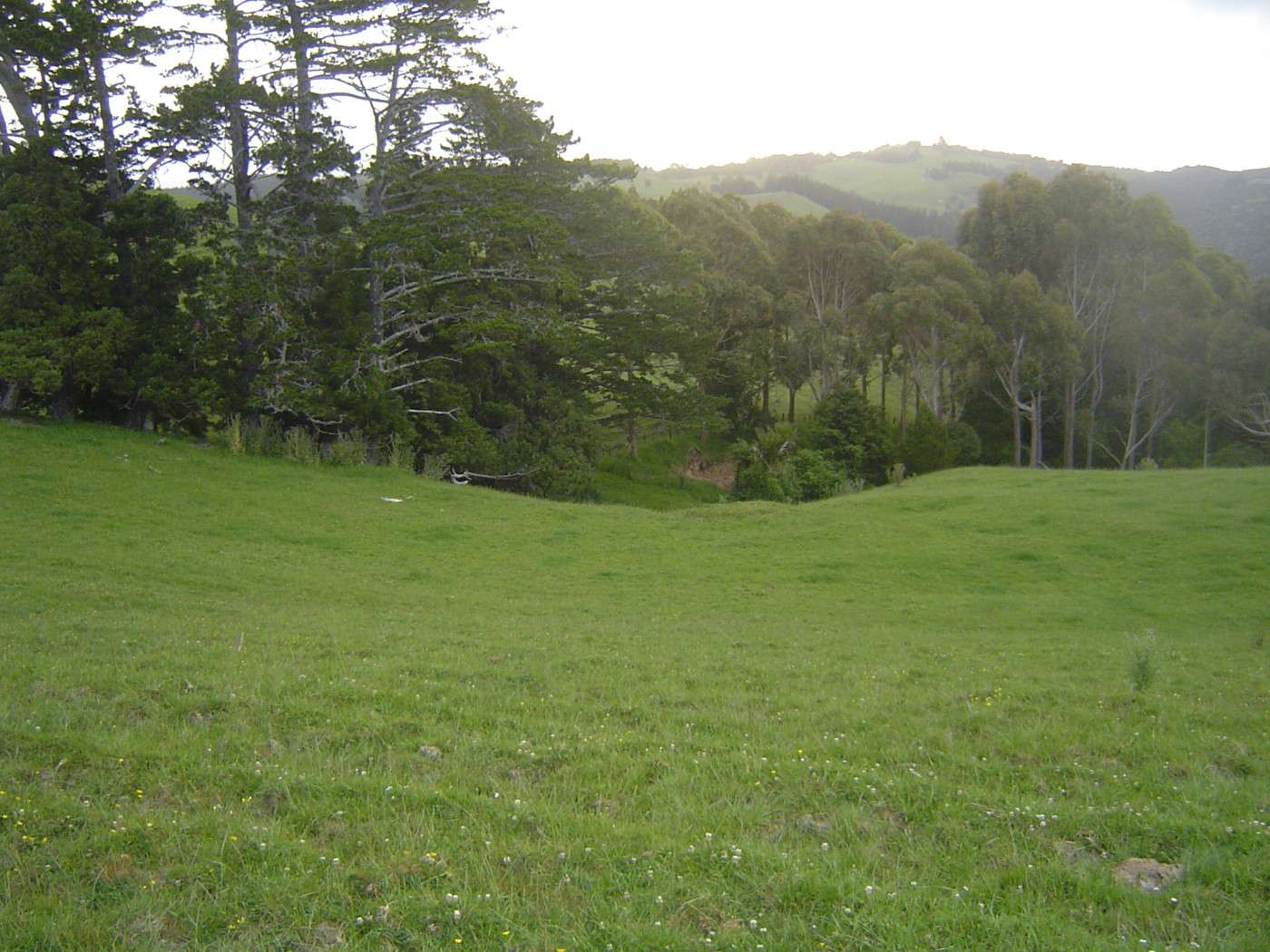 KAITAIA  Far North District  0410 photo 7