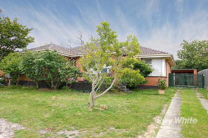 23 Willow Avenue, GLEN WAVERLEY VIC 3150