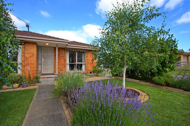142 Seventh Avenue, ROSEBUD VIC 3939