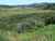 RAGLAN  Waikato District  3225 photo 2