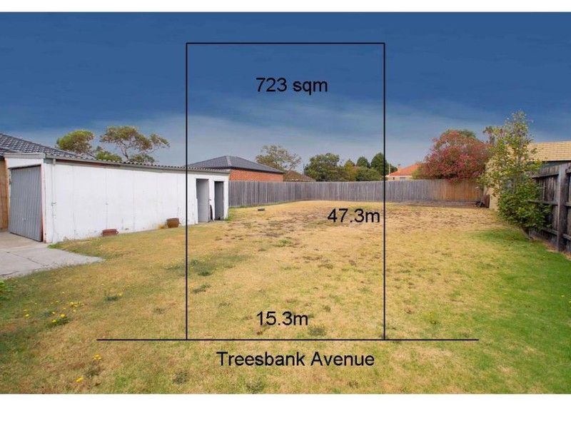 12  Treesbank Avenue, SPRINGVALE VIC 3171