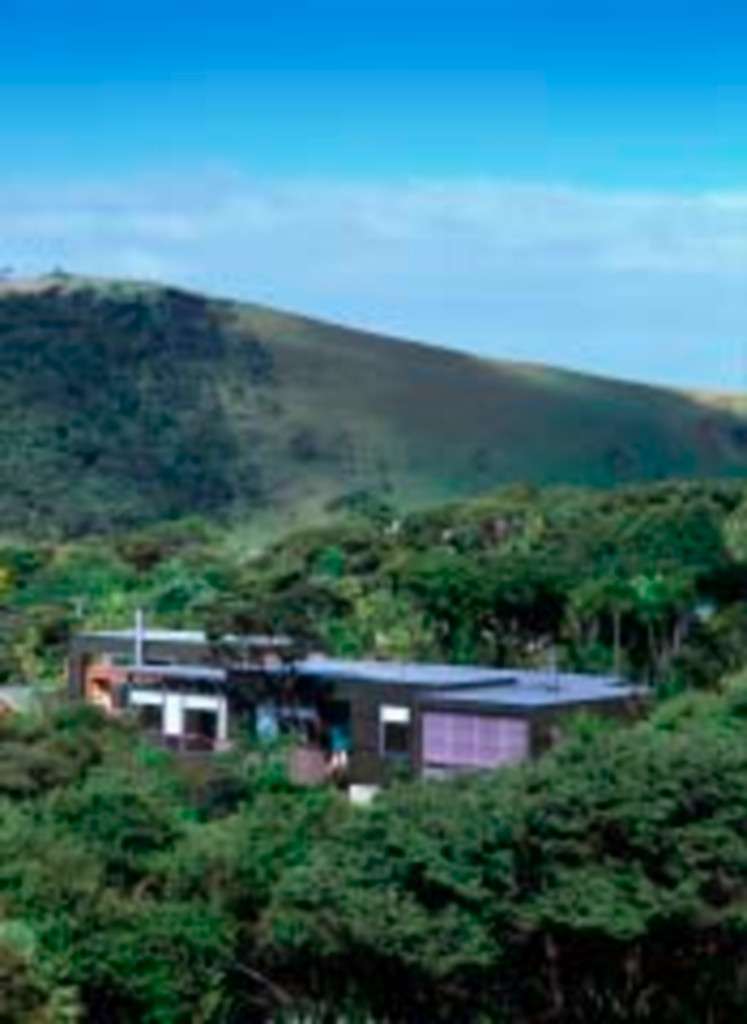 41 Tasman View Road, Bethells Beach, Waitakere City Real Estate Ray White New Zealand