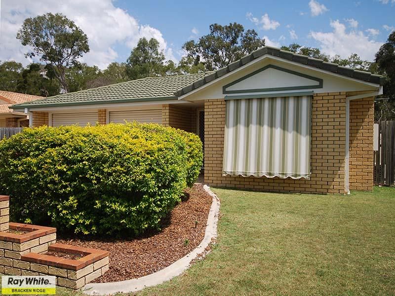 17 Springer Place, BRACKEN RIDGE QLD 4017