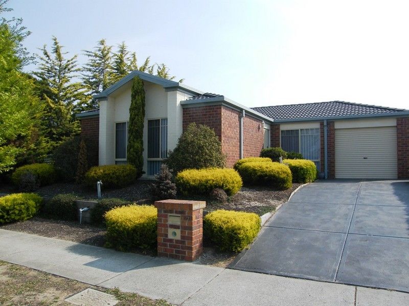 17 Abercairn Drive, NARRE WARREN SOUTH VIC 3805