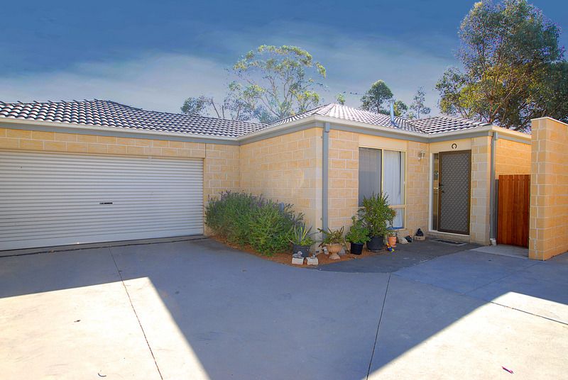 97 Warrandyte Road, Langwarrin VIC 3910