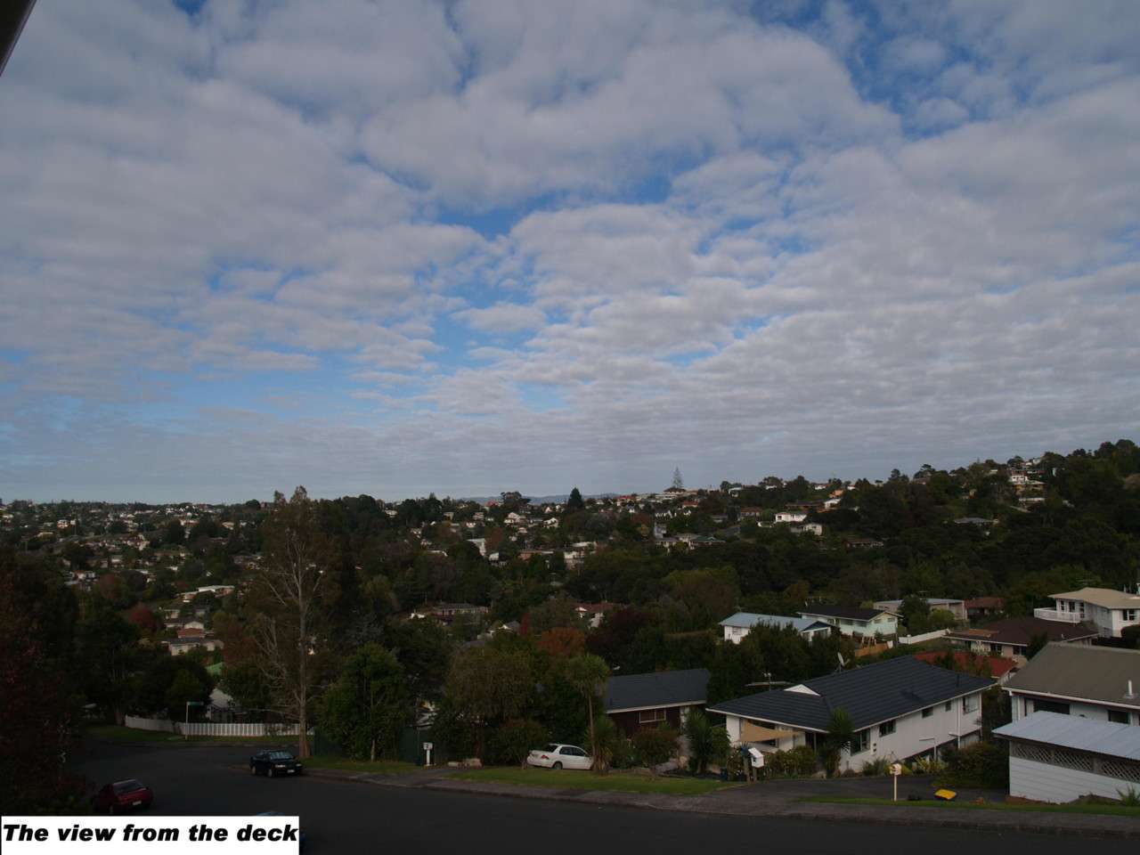 GLENFIELD  North Shore City  0629 photo 4