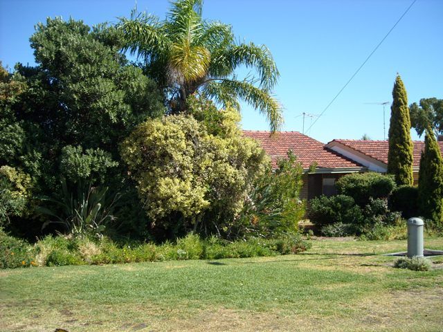 47 Wattle Street, TUART HILL WA 6060