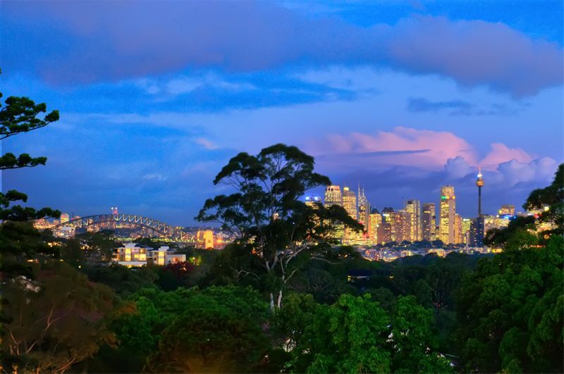 316 Pacific Highway, LANE COVE NSW 2066
