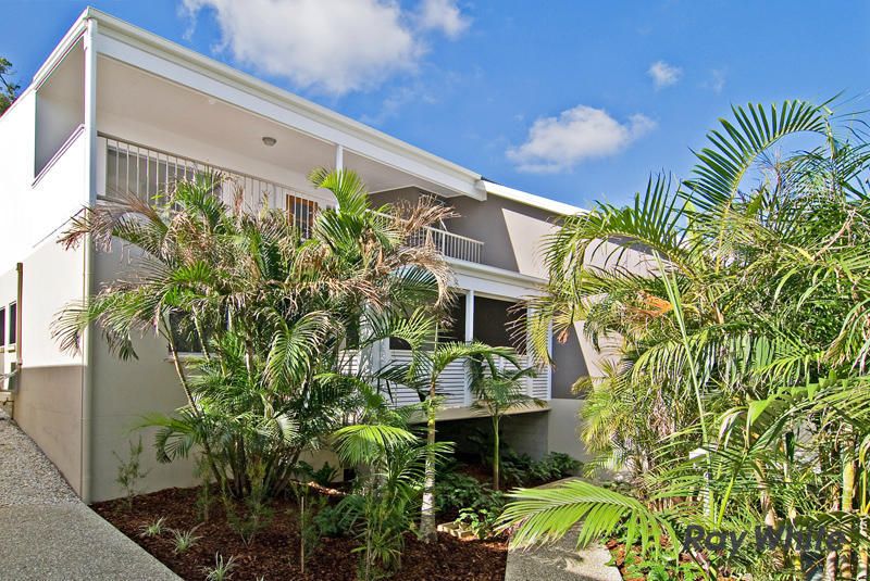  36 Burnaby Terrace, GORDON PARK QLD 4031