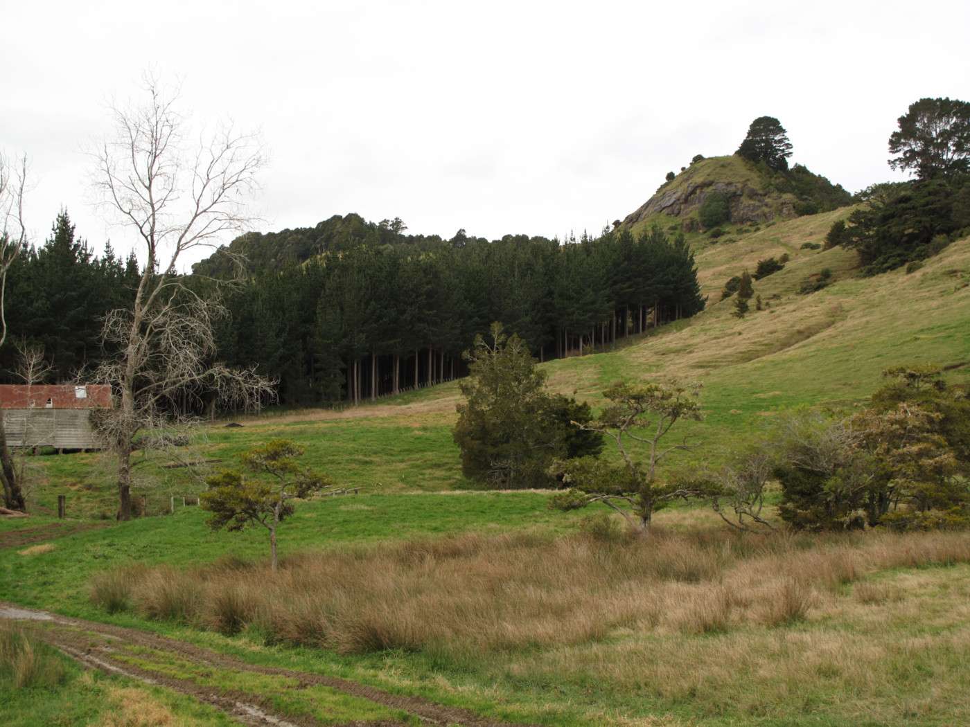 Lot 3 Ahuroa Valley Road, Ahuroa, Rodney Real Estate Ray White New Zealand