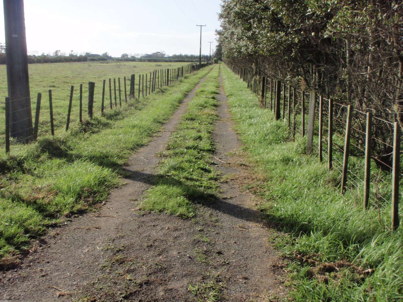 AWANUI  Far North District  0486 photo 2