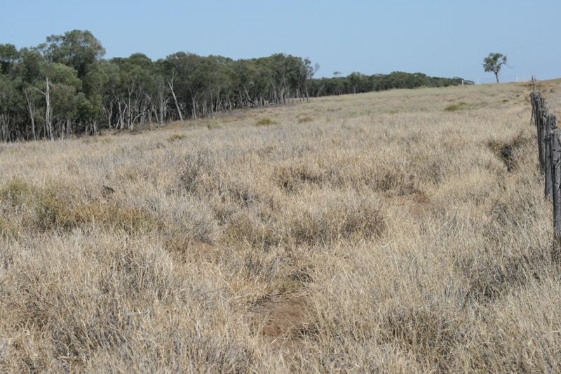 Blackall, QLD Rural Rural Sold
