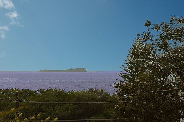 20 Mary Street, ALEXANDRA HEADLAND QLD 4572