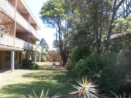 25 Smallman Street, BULIMBA QLD 4171