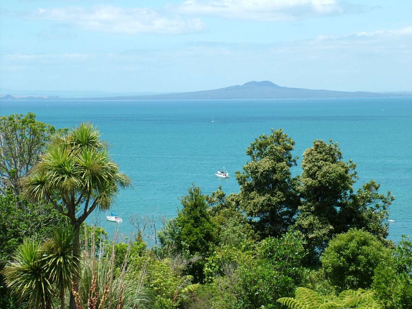 8 Wade River Road, Whangaparaoa, Rodney Real Estate Ray White New