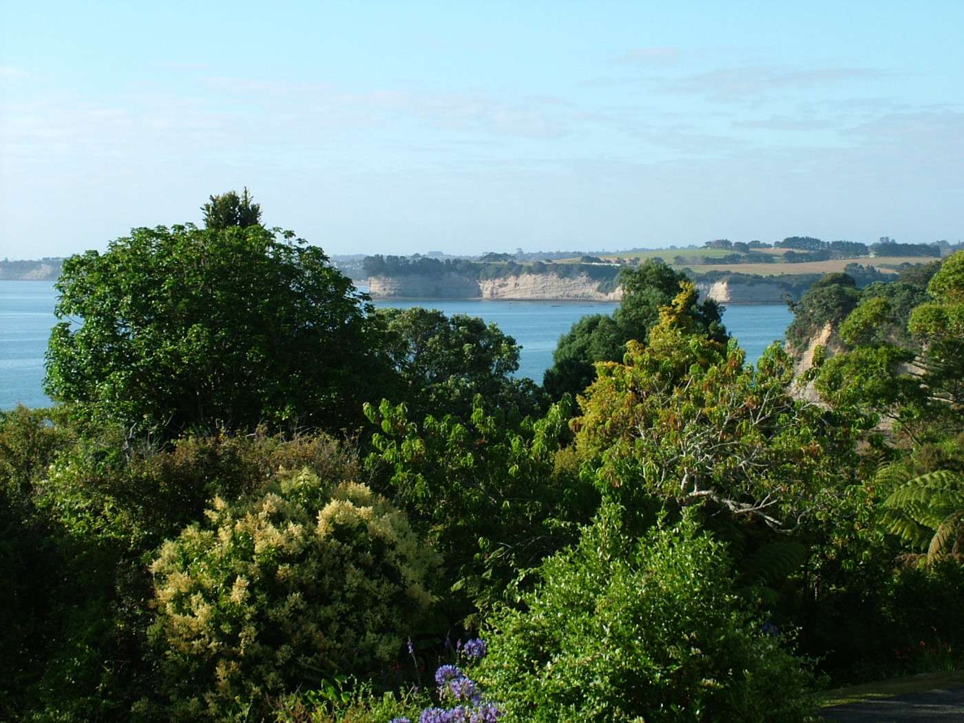 8 Wade River Road, Whangaparaoa, Rodney Real Estate Ray White New